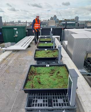 smart green roof image